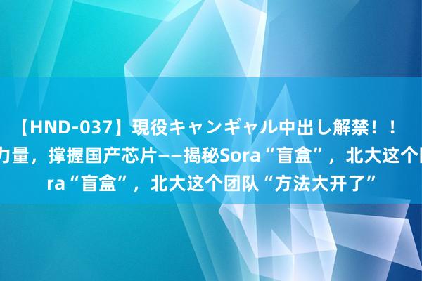 【HND-037】現役キャンギャル中出し解禁！！ ASUKA 斟酌开源力量，撑握国产芯片——揭秘Sora“盲盒”，北大这个团队“方法大开了”