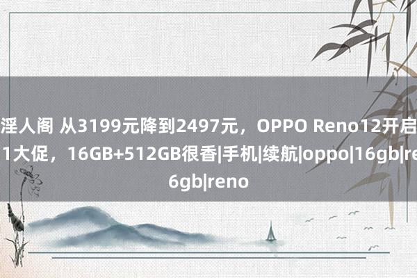 淫人阁 从3199元降到2497元，OPPO Reno12开启双11大促，16GB+512GB很香|手机|续航|oppo|16gb|reno