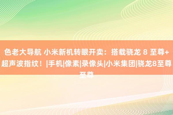 色老大导航 小米新机转眼开卖：搭载骁龙 8 至尊+超声波指纹！|手机|像素|录像头|小米集团|骁龙8至尊