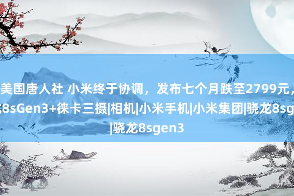 美国唐人社 小米终于协调，发布七个月跌至2799元，骁龙8sGen3+徕卡三摄|相机|小米手机|小米集团|骁龙8sgen3