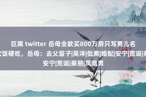 巨屌 twitter 岳母全款买800万房只写男儿名，东床欲软饭硬吃，岳母：去父留子|吴洋|仳离|婚配|安宁|荒诞|蔡丽|凤凰男